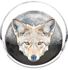 Coyote Moon