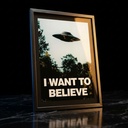 Regular Poster-X Files I Want To Believe
