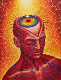 Alex Grey Prints- Medium