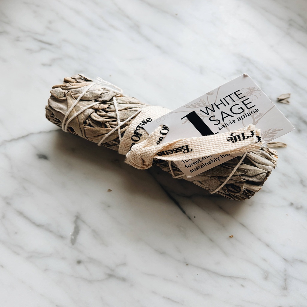 [EOL1013D] Forest-Friendly White Sage Bundle, 4 inch