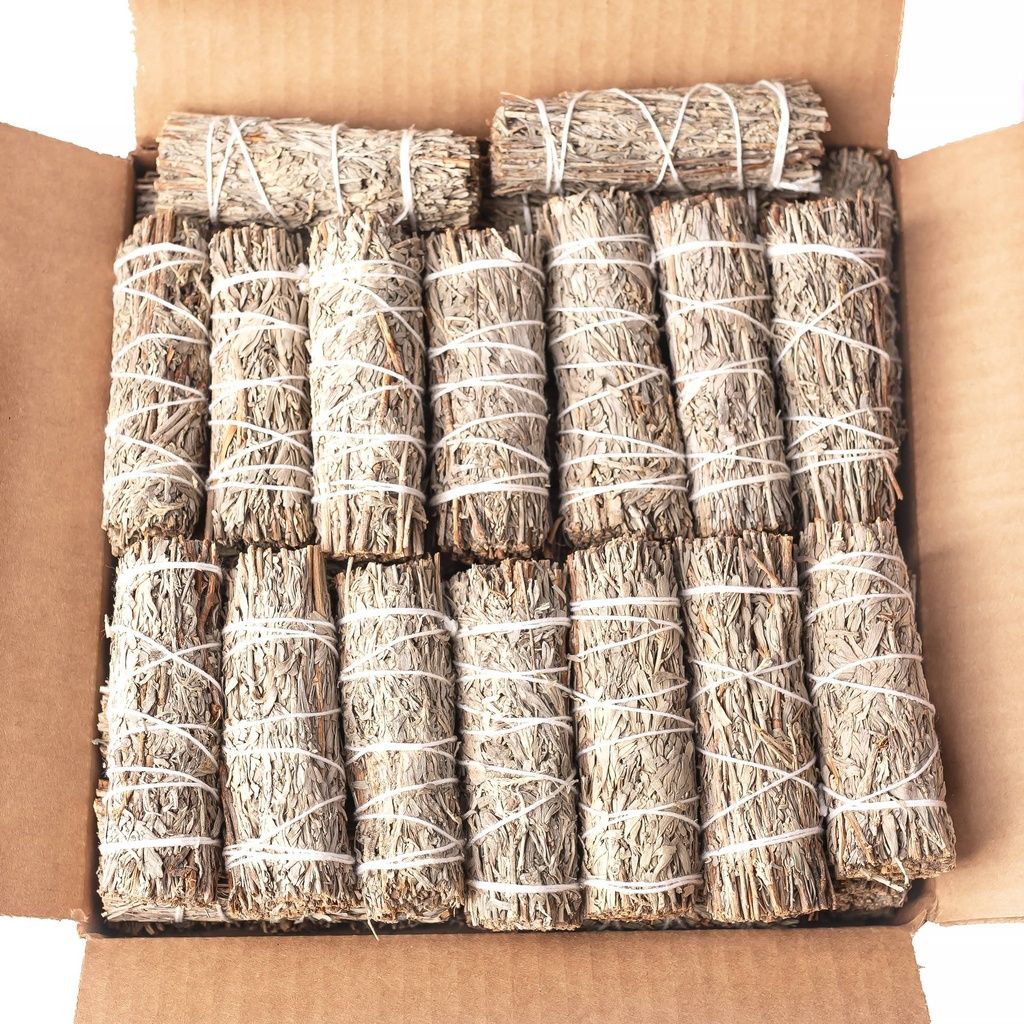 [SMS-0452] Blue Sage Bundle, 4 inch (Grandmother Sage)