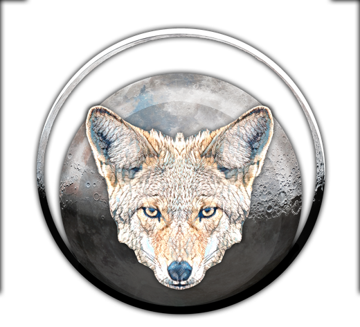 Coyote Moon