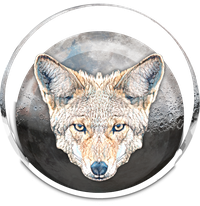 Coyote Moon