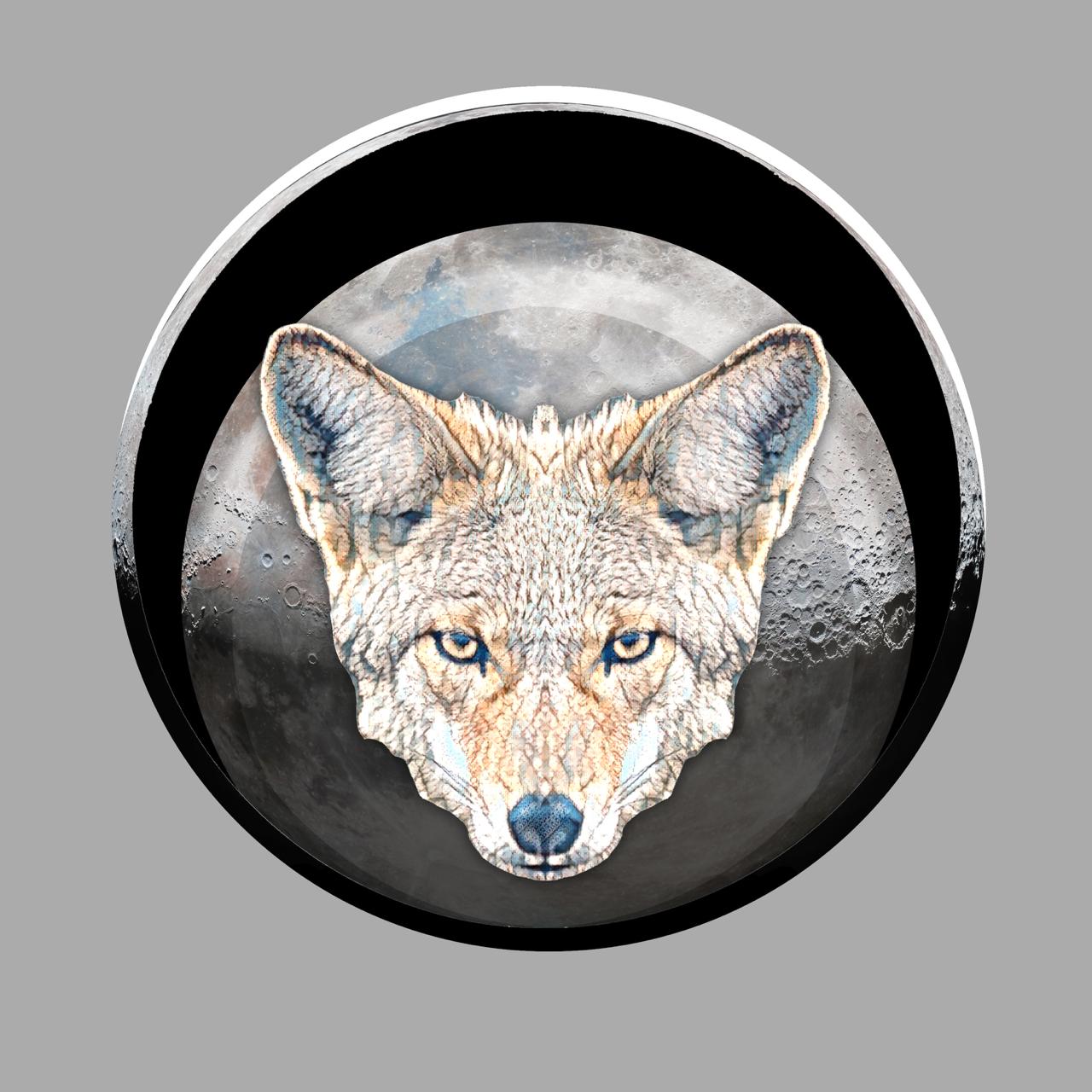 Coyote moon